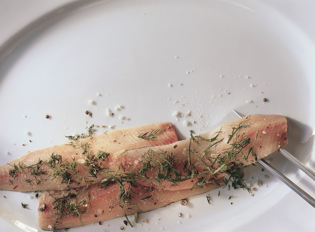 Marinated green herring with dill
