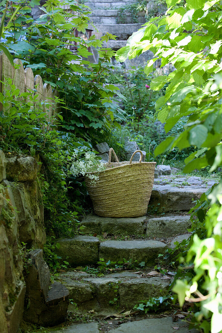 Steps made of natural stones, basket and plants