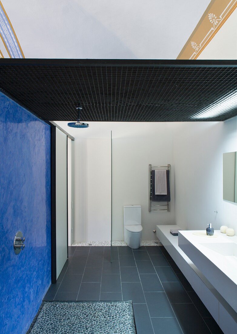 Modern bathroom with blue wall in open shower area