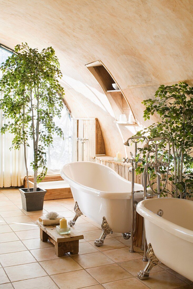 Twin free-standing bathtubs in bathroom