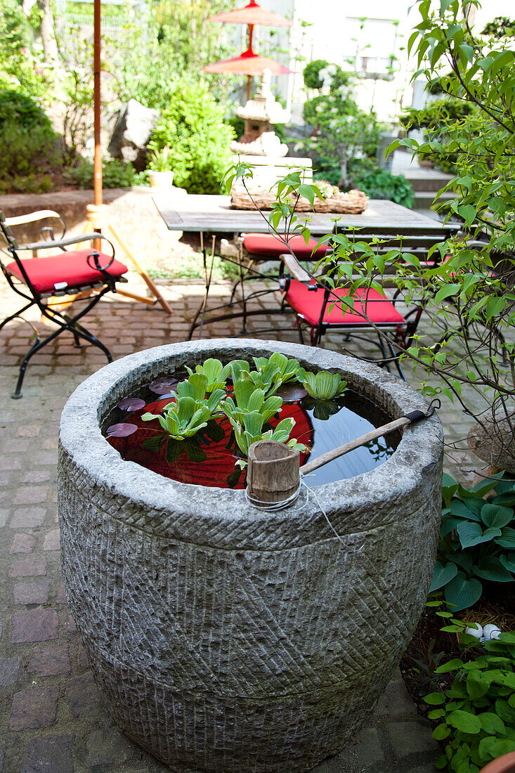 Brunnen mit Wasserpflanzen auf Terrasse mit Tisch und Stühlen