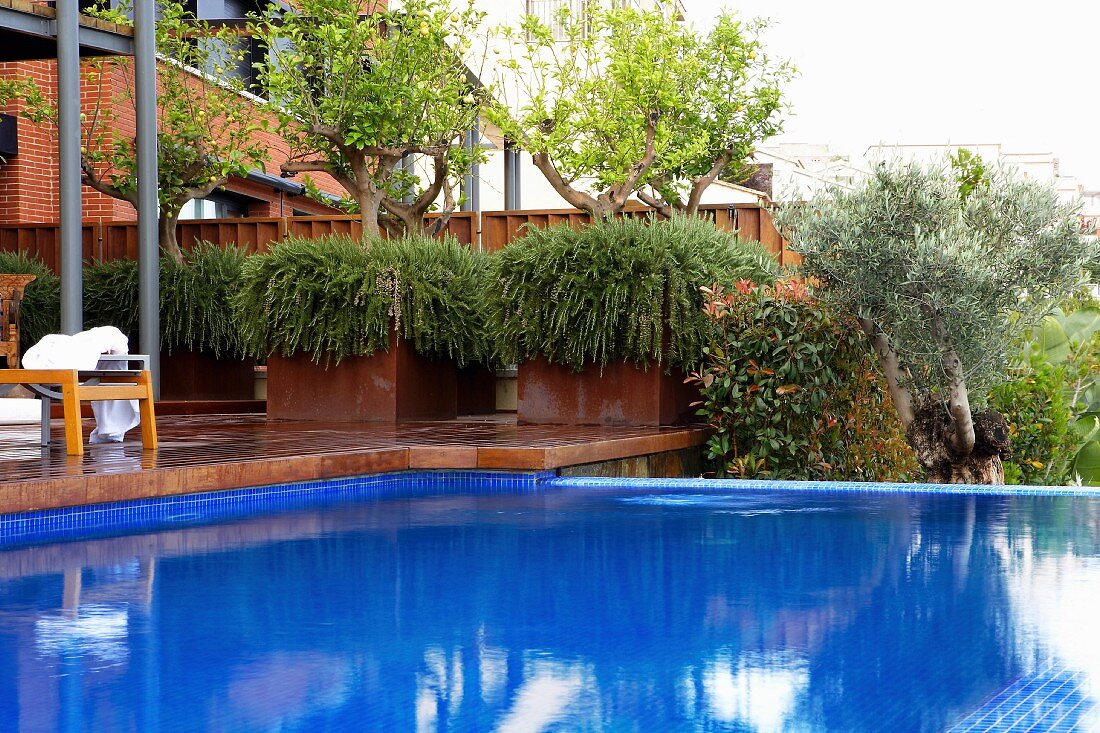Terrace and view of garden beyond pool with bright blue tiles
