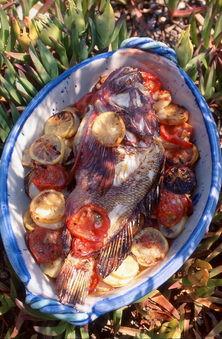 Fisch mit Tomaten und Zitronen (Korsika)