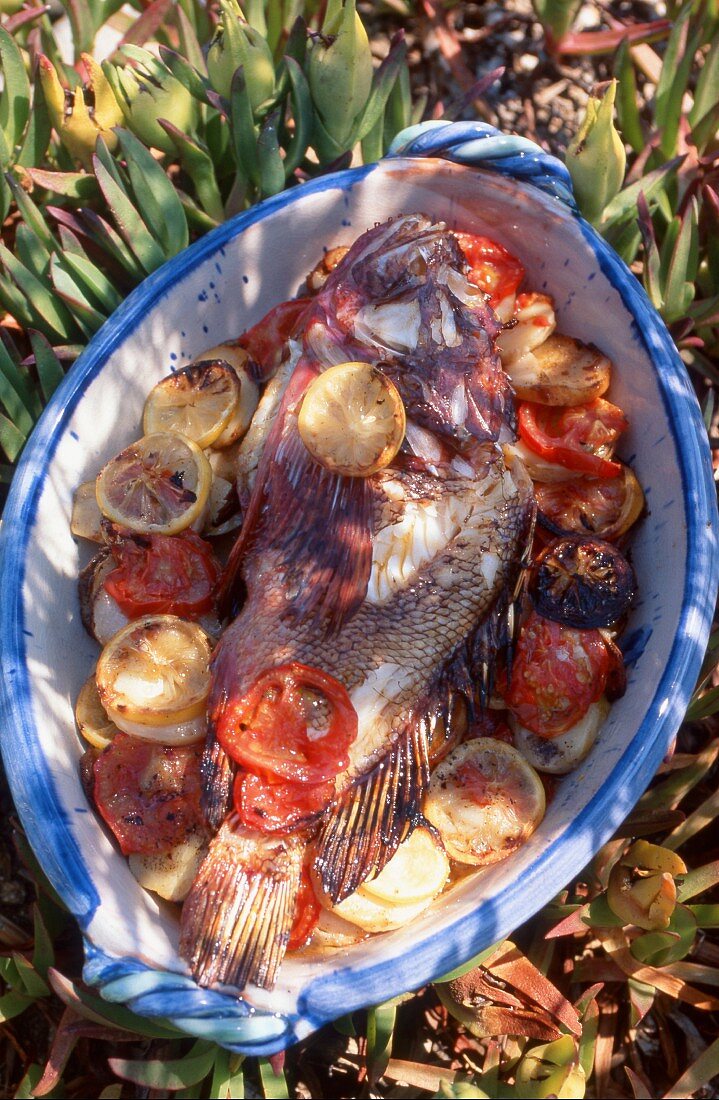 Fish with tomatoes and lemon (Corsican)