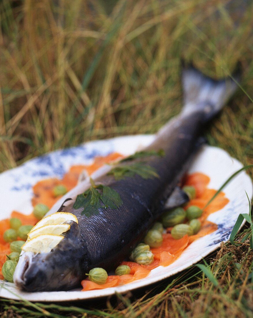 Poached salmon with gooseberries (Irish)