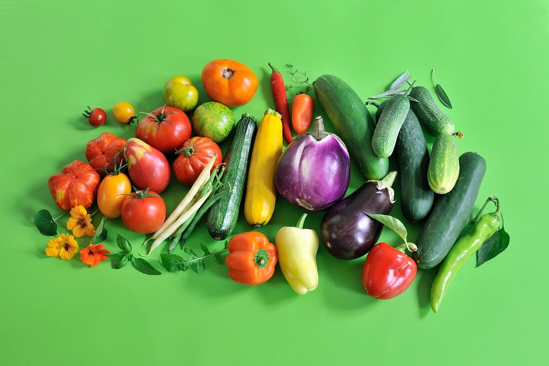 Sommergemüse-Stillleben mit Tomaten, Zucchini, Auberginen und Gurken