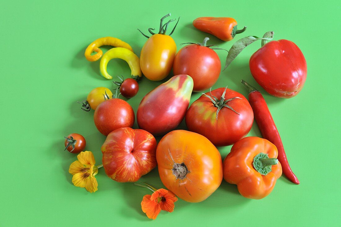 Still-life of summer vegetables with tomatoes, peppers and chilli peppers