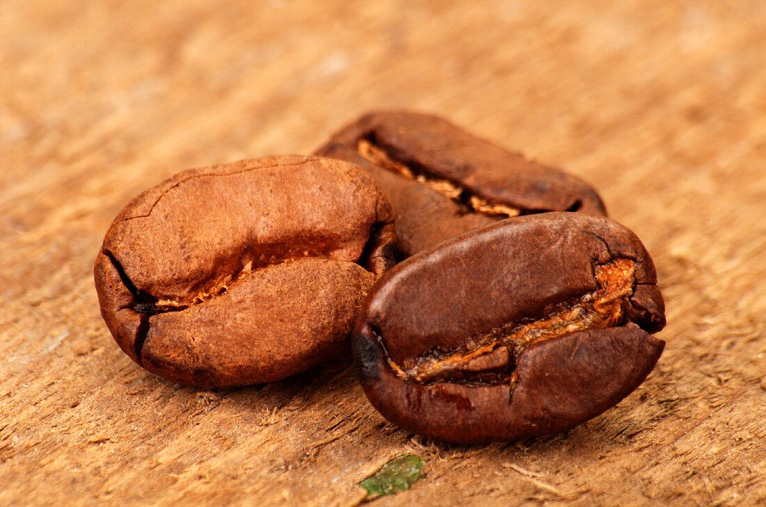 Three coffee beans on wood (close-up)