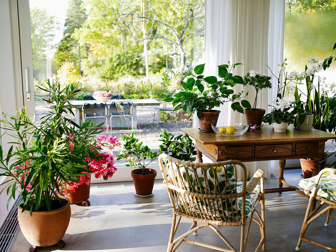 Helles Wohnzimmer mit verschiedenen Zimmerpflanzen und Blick in den Garten