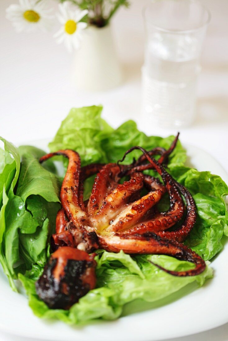 Fried octopus on a bed of lettuce