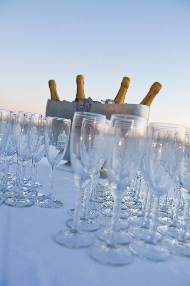 Empty wine glasses and ice bucket with bottles of sparkling wine