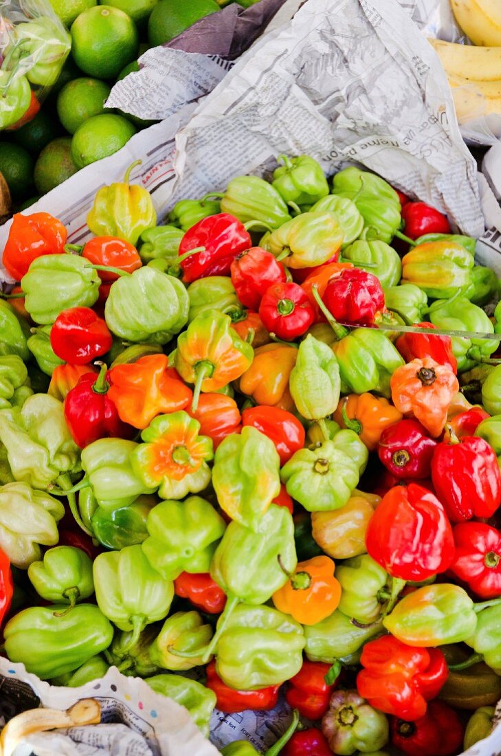 Pile of fresh chilli peppers from Martinique on newspaper