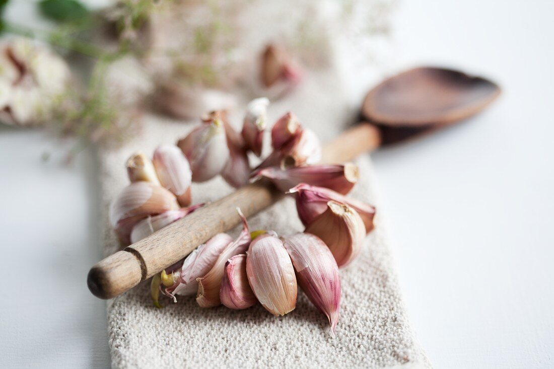 Wooden spoon with garland of garlic cloves