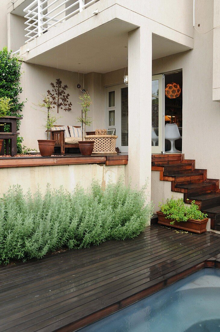 Verregnete Holzterrasse mit Lavendel und Olivenbäumchen in Terrakottatöpfen