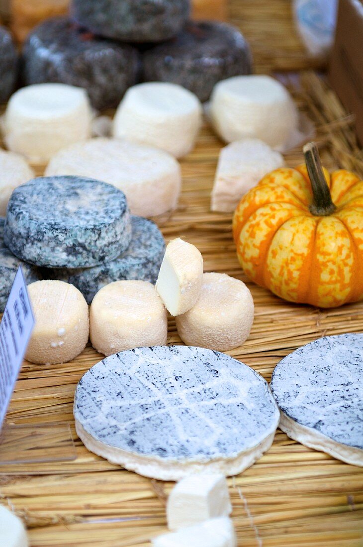 Various cheeses on straw mat