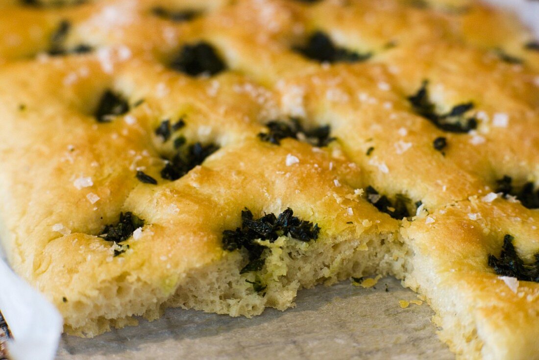 Focaccia mit Kräutern