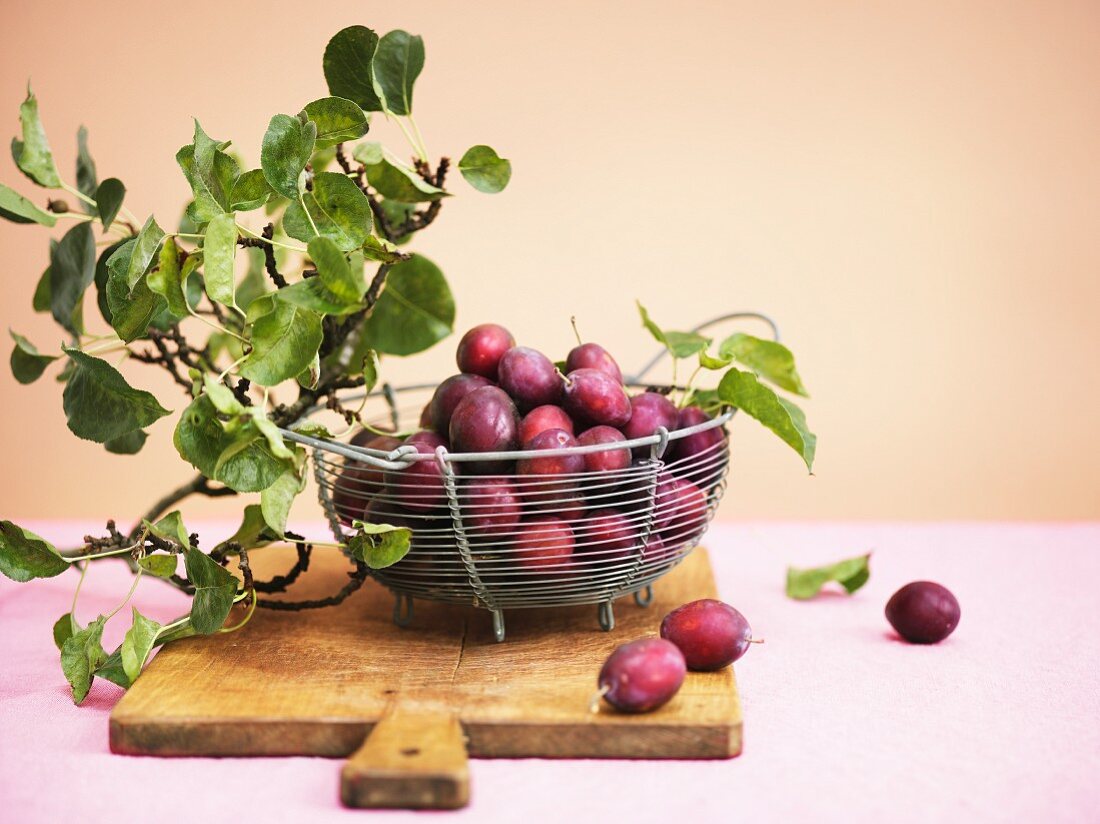 Damsons in basket