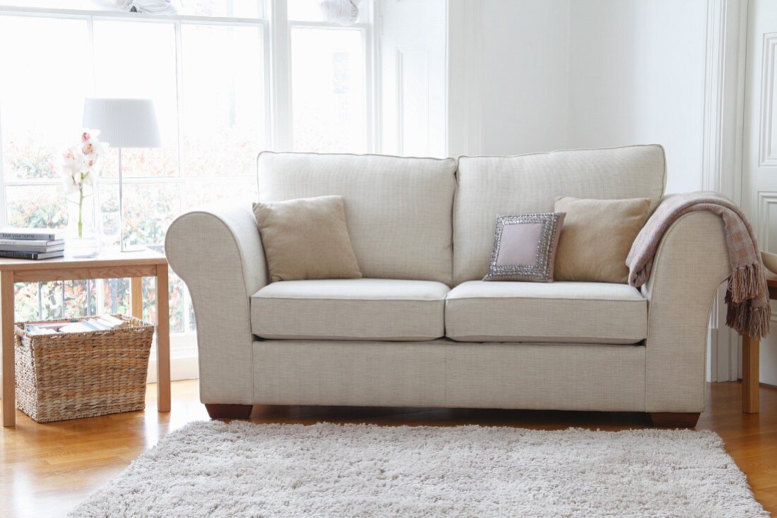 Light sofa with scatter cushions and side table in living room