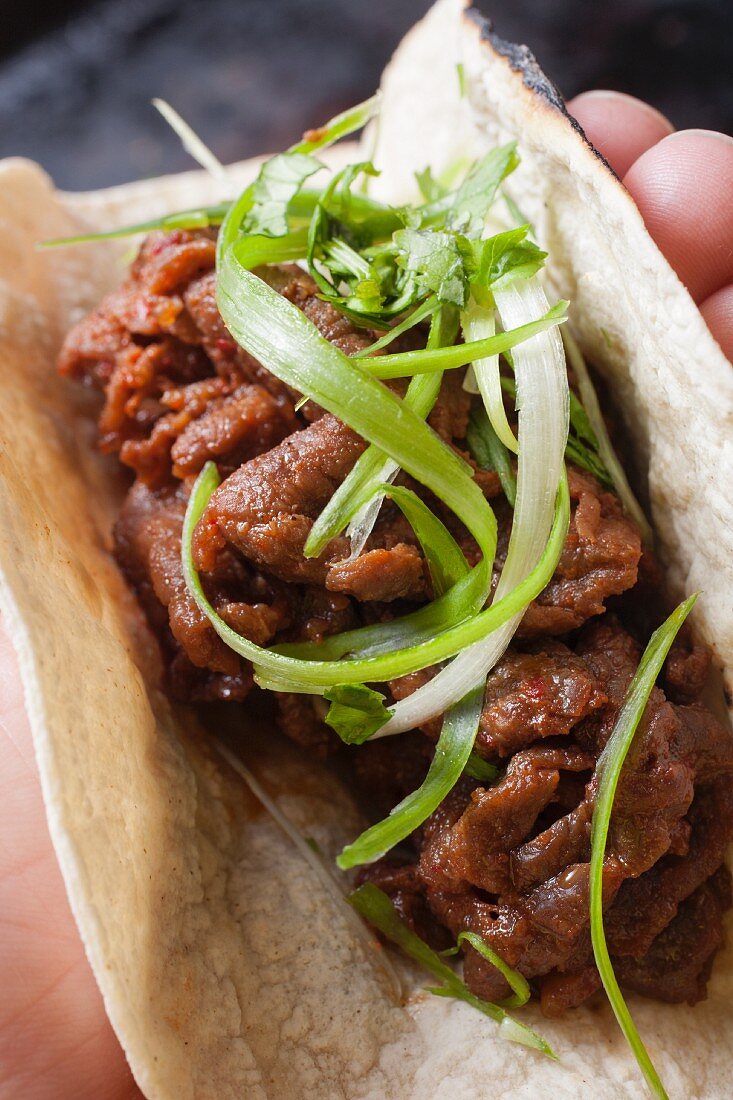 Hand hält Bulgogi Taco (mit koreanischem mariniertem Rindfleisch)