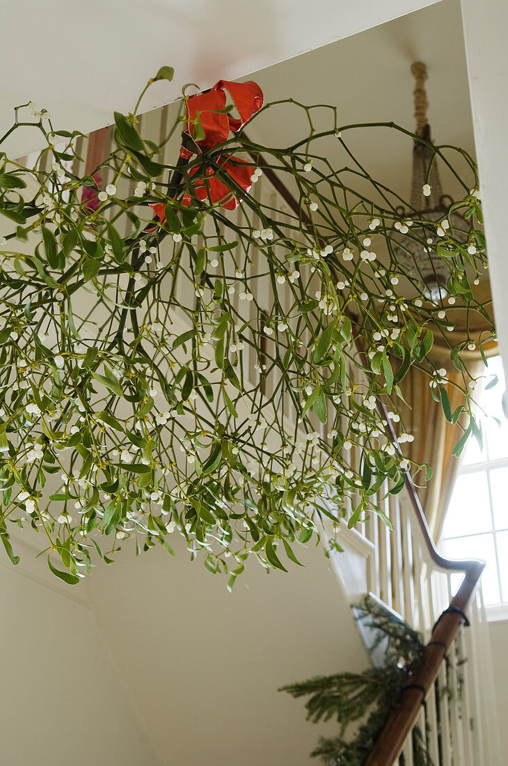 Decorated stairwell