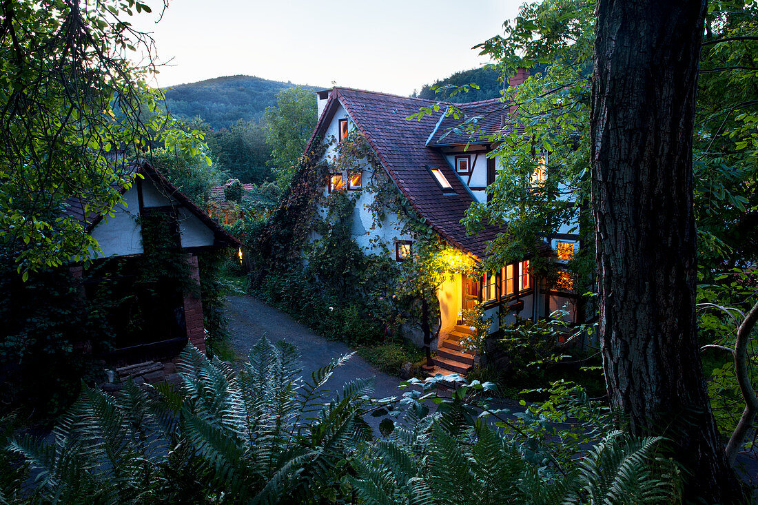 Blick über Dorfstrasse auf beleuchtetes Fachwerkhaus in Abendstimmung