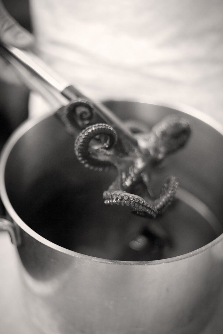 Removing cooked octopus from water