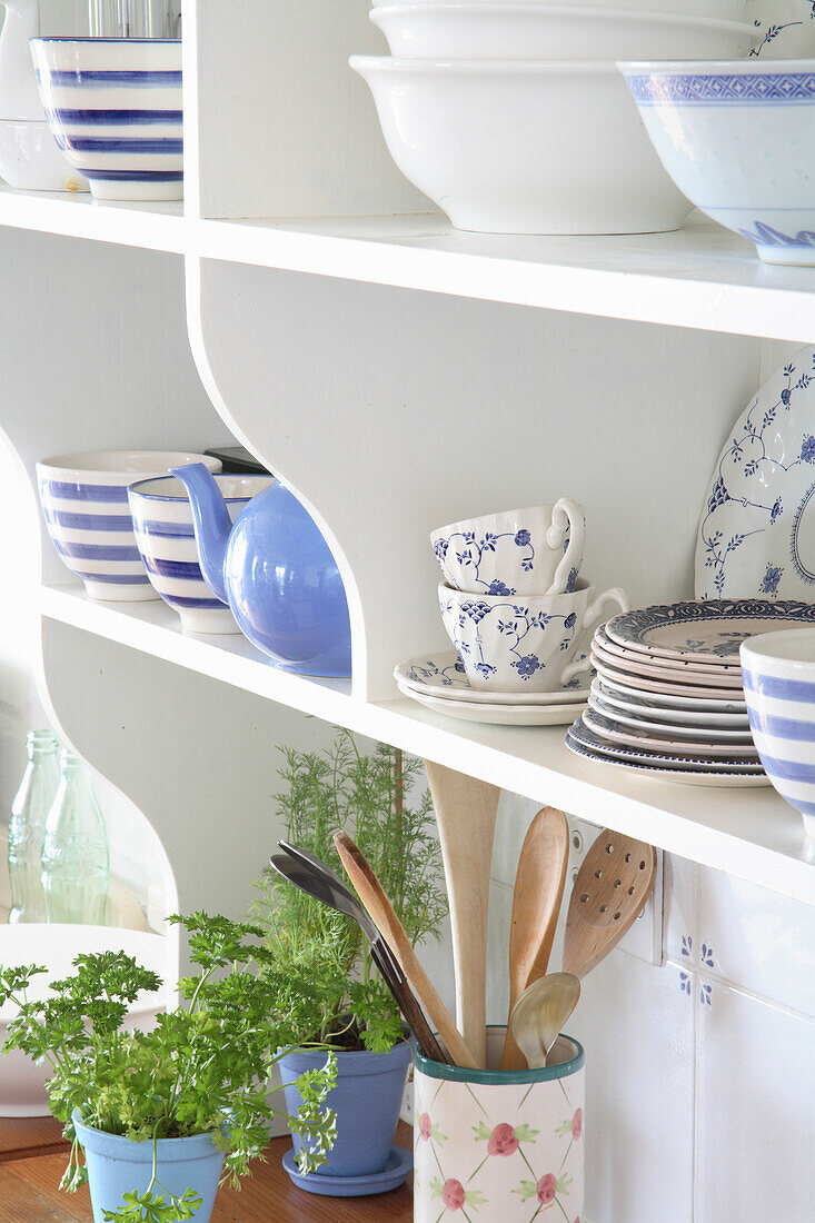 Kitchen shelf with crockery, herb pots