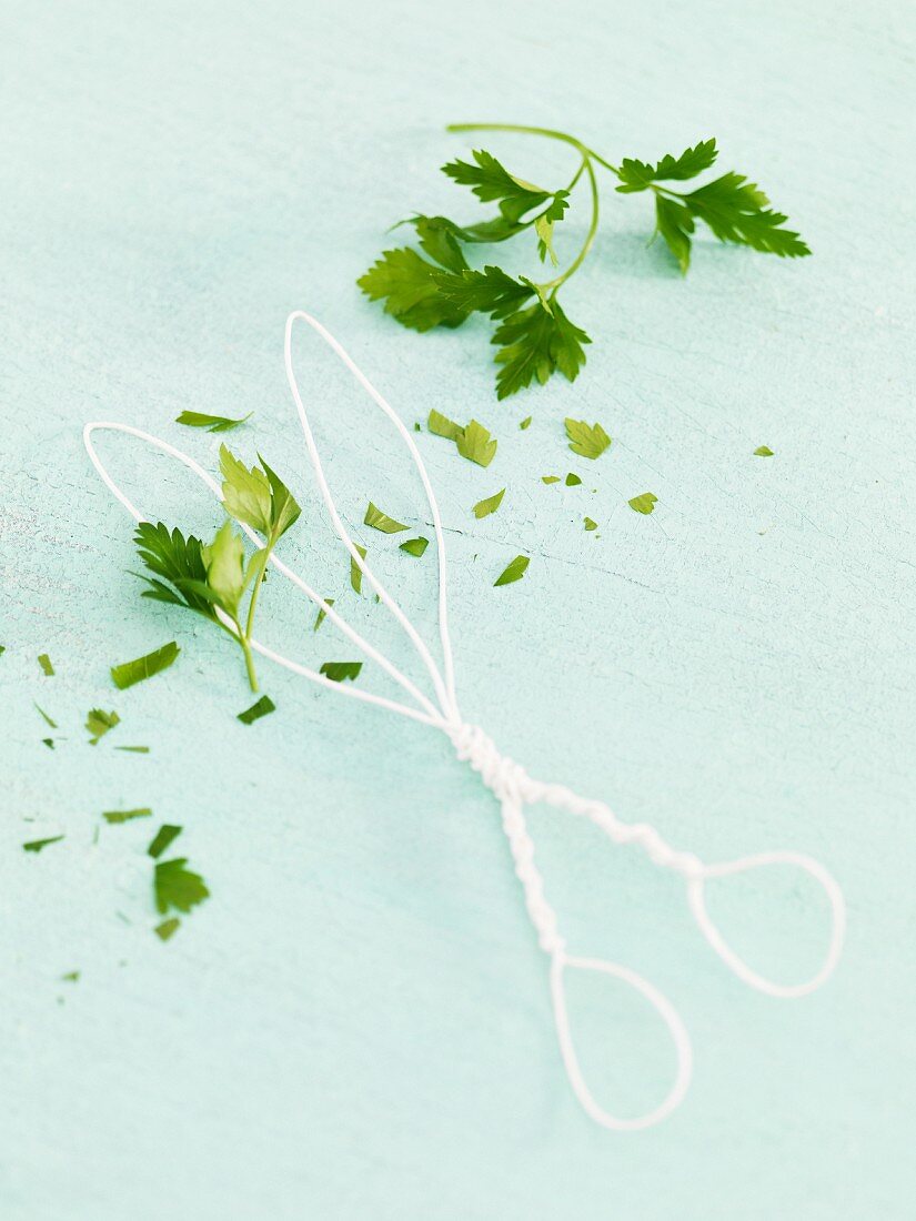 Parsley and a pair of scissors