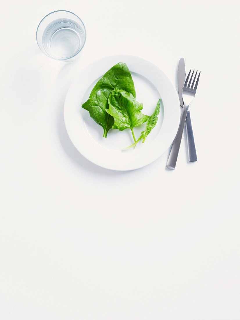 English spinach on a white plate