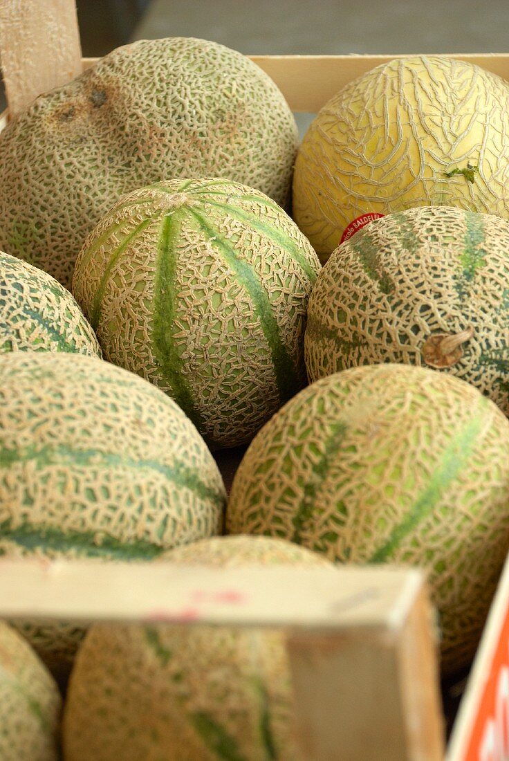 Galia melons in a wooden crate