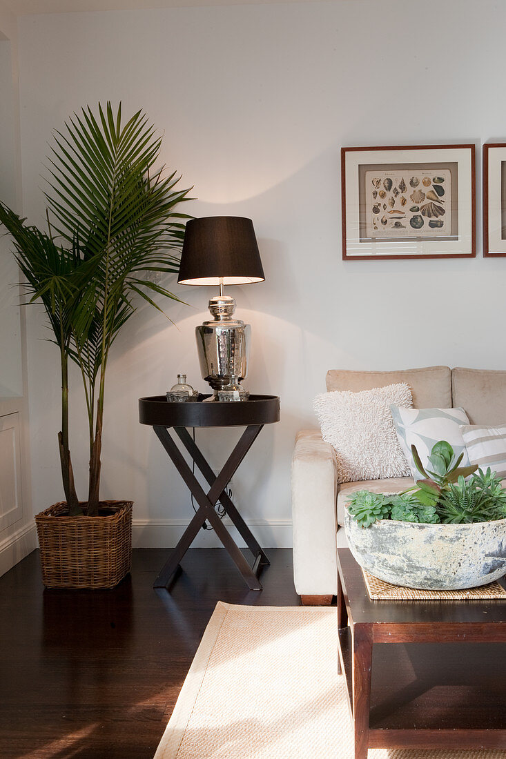 Potted palm tree next to table lamp on side table in corner of modern living room