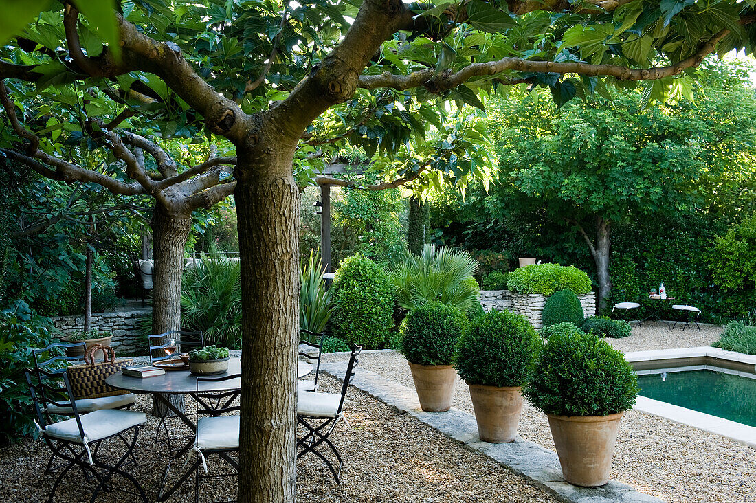 Gartenbereich mit Terrasse, Bäumen, Pflanzen und Pool