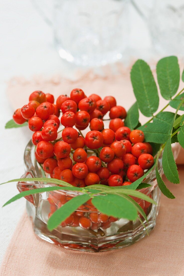 Ebereschenbeeren in einem Glasschälchen