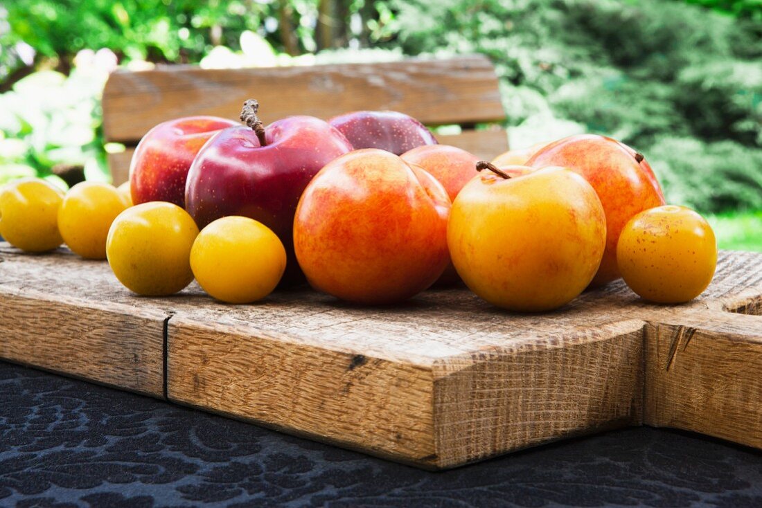 Red and yellow plums with mirabelles