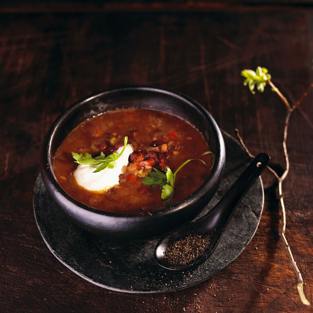 Mexikanische schwarze Bohnensuppe