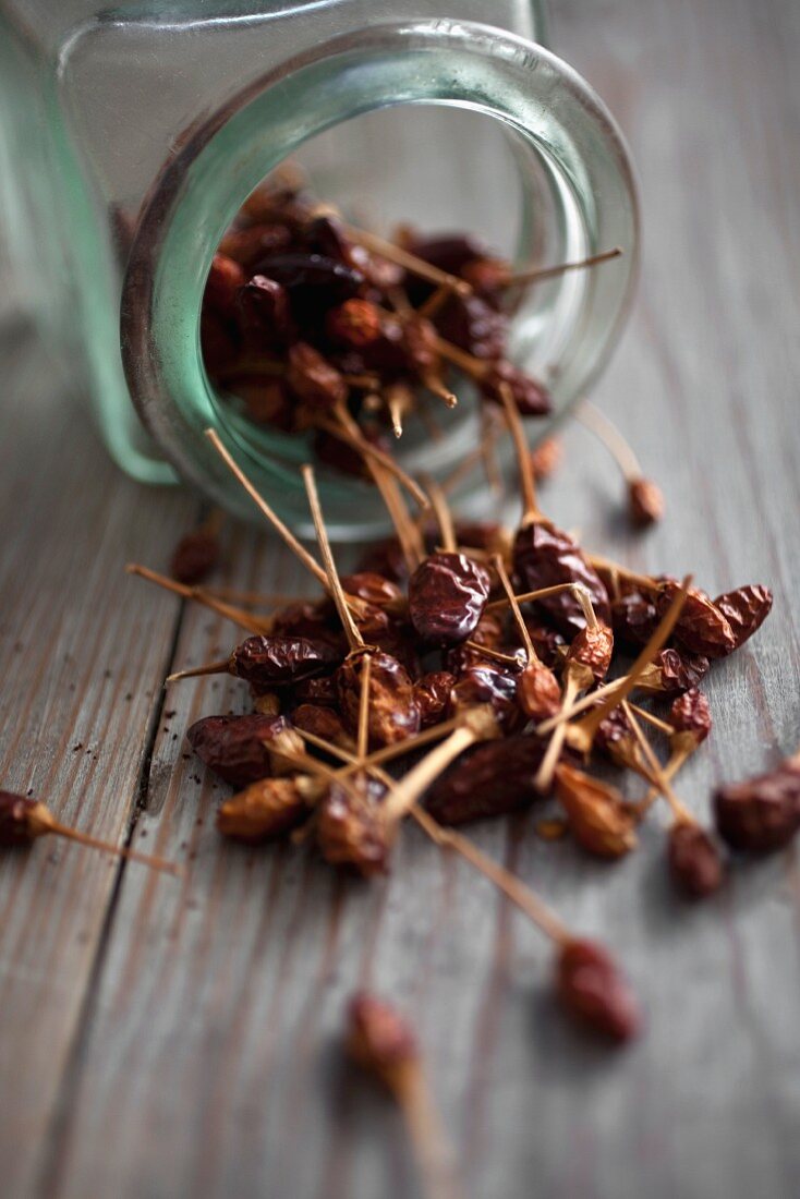 Dried chilli peppers