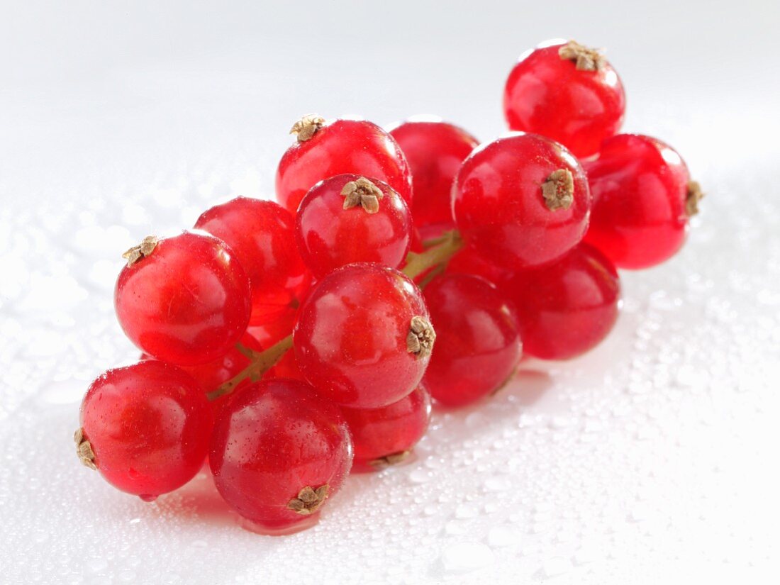 Rote Johannisbeeren (Close Up)