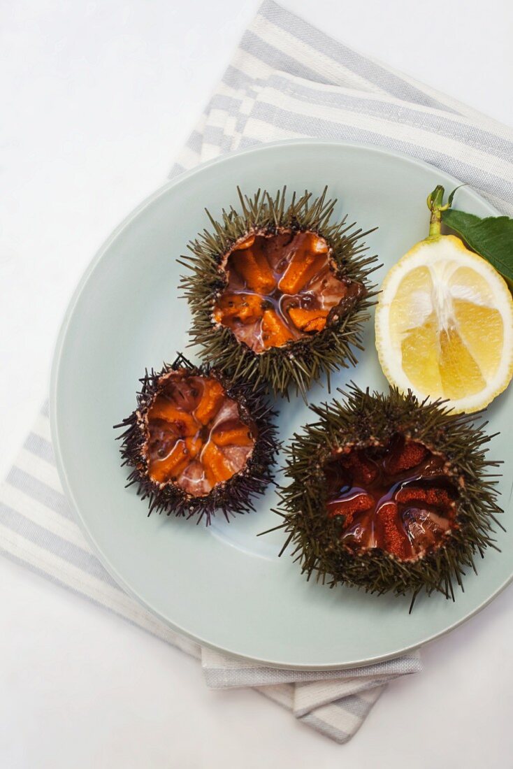 Sea urchins with lemons