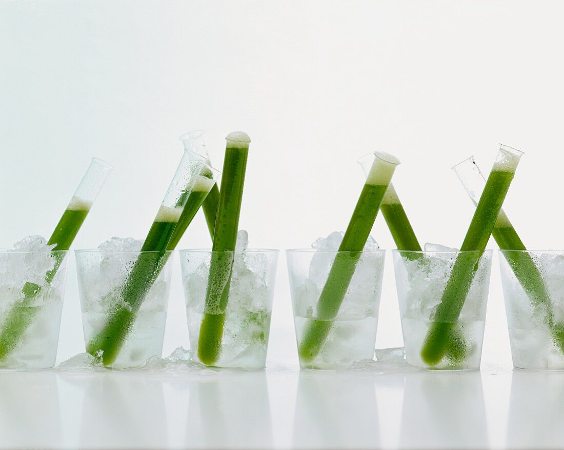 Peppermint shots with ice cubes