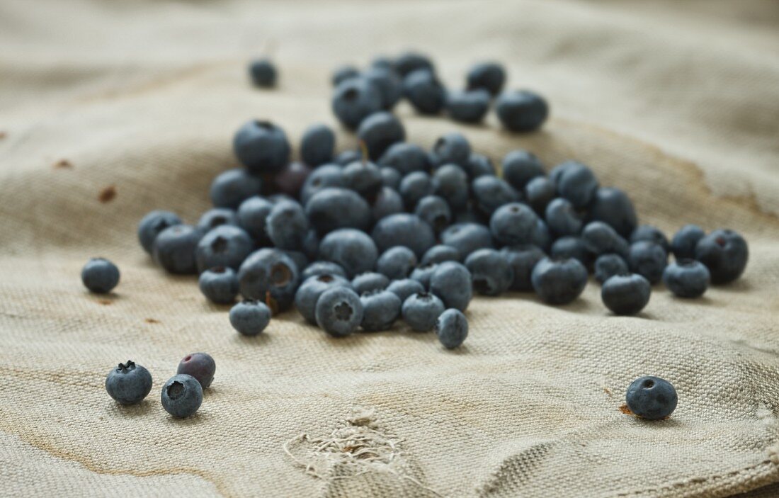 A bunch of fresh blueberries on a burlap bag