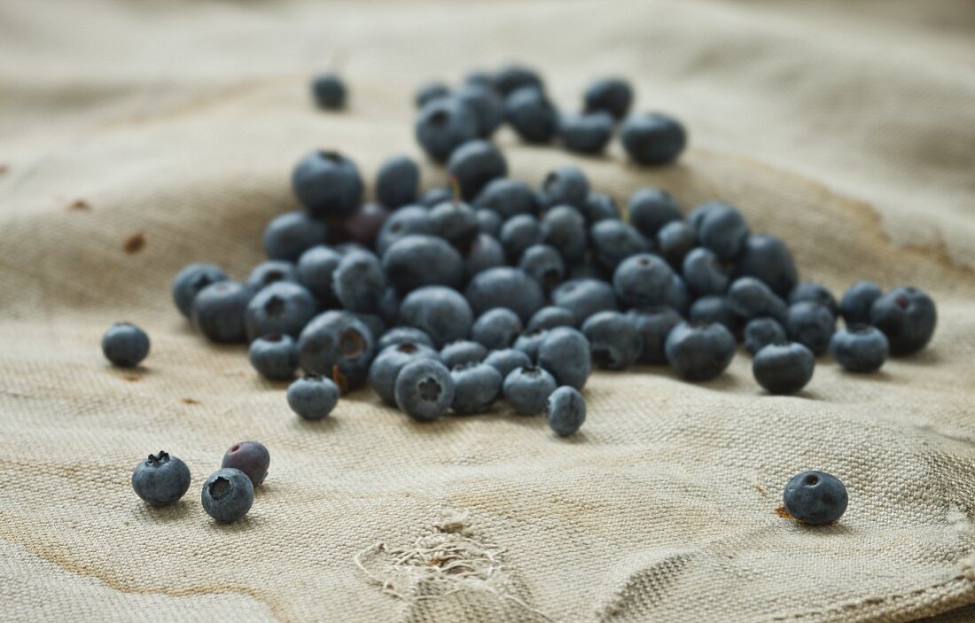 Viele frische Heidelbeeren auf Leinensack