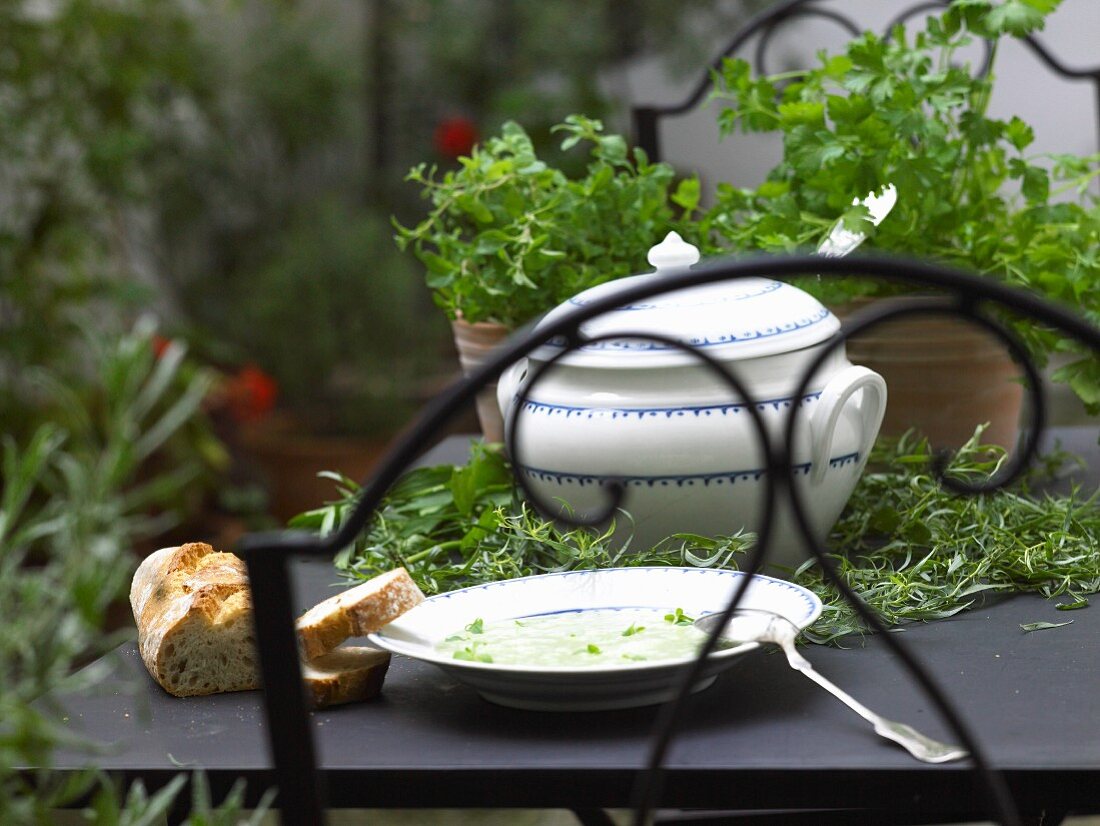 Kräutersuppe mit Brot