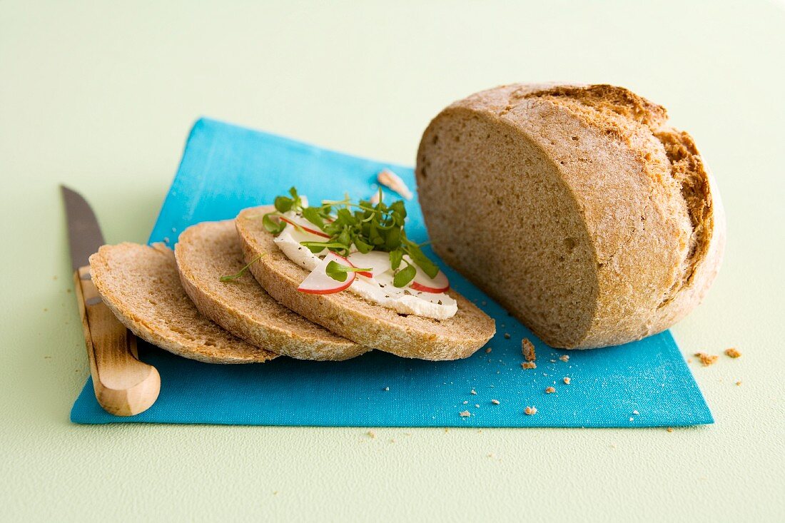 A slice of bread topped with radishes and cress