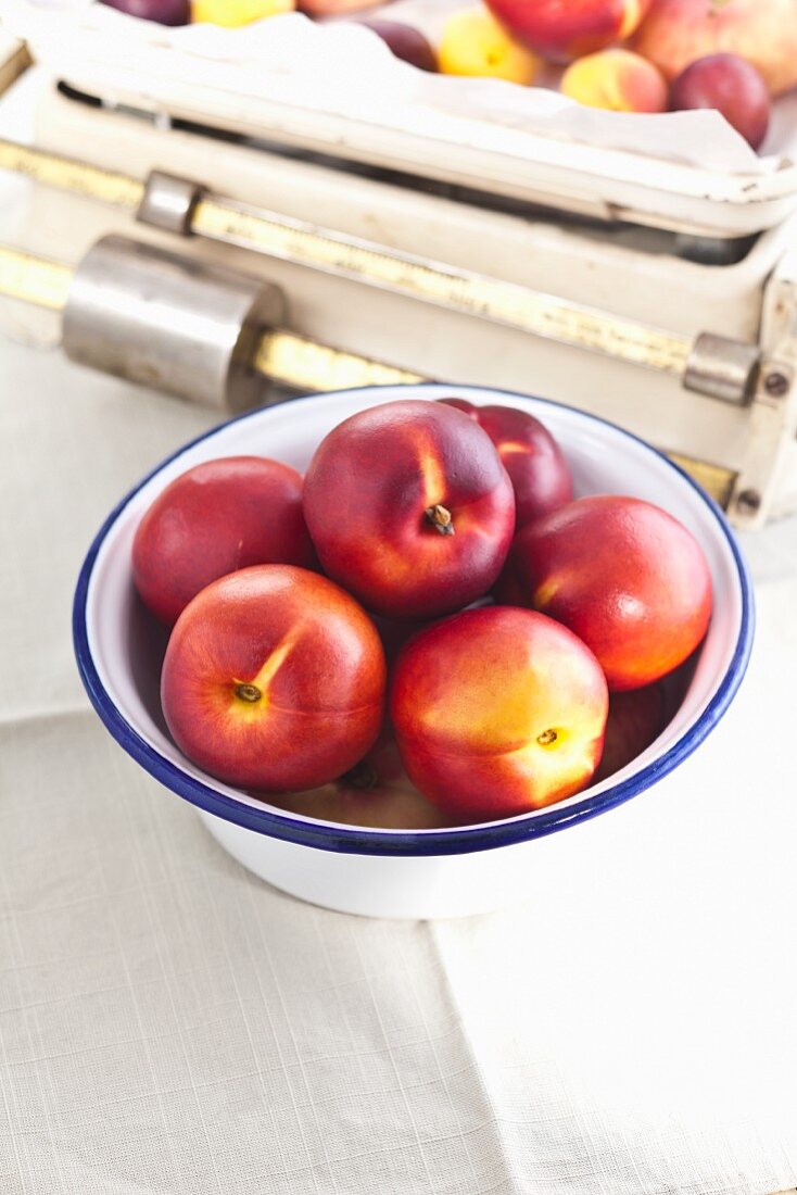 A bowl of nectarines in front of an old pair of kitchen scales
