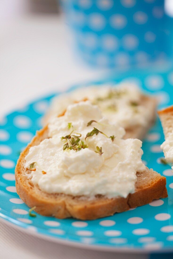 Slices of bread topped with cottage cheese and cress