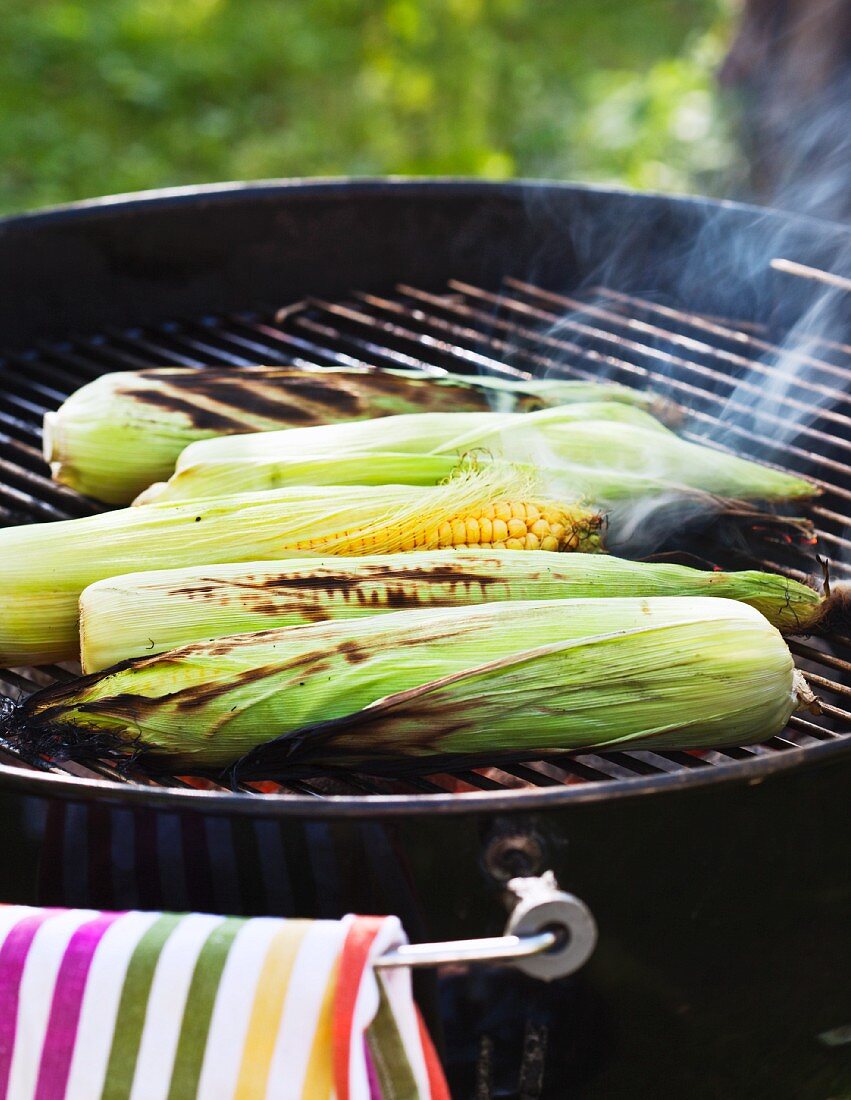 Maiskolben auf dem Grill