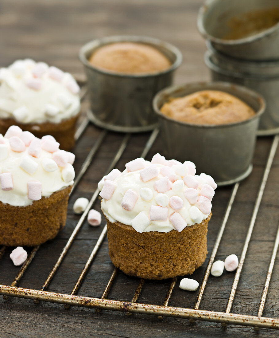 Kürbis-Cupcakes mit Mini-Marshmallows