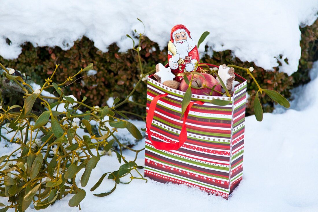 Christmas goody-bag with mistletoe, biscuits and apple