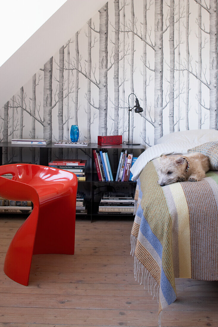 Hund liegt auf Bett mit gestreifter Decke, roter Kunststoffstuhl und Birkenwald-Tapete in Schlafzimmer