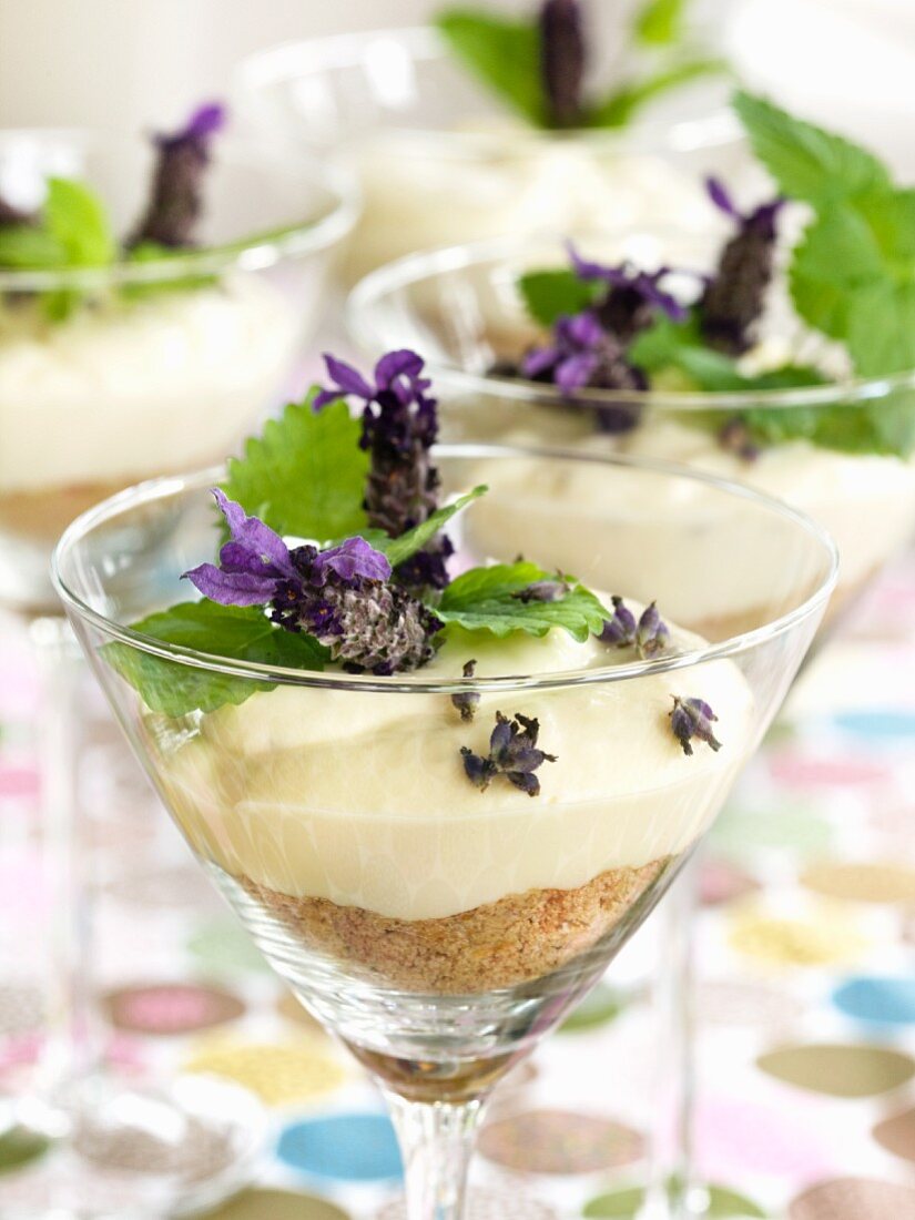 Cheesecake with lavender in a dessert glass